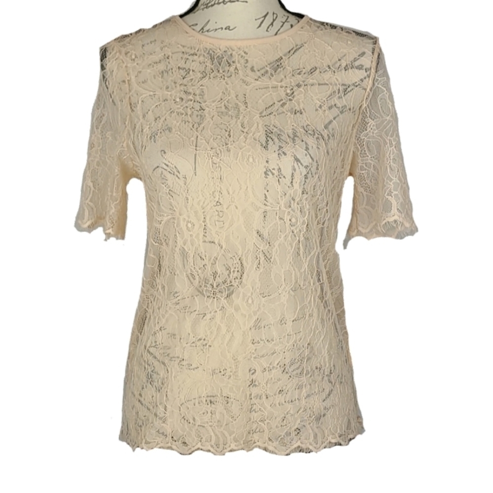 Haute Monde Sheer Lace Cream Short Sleeve Blouse